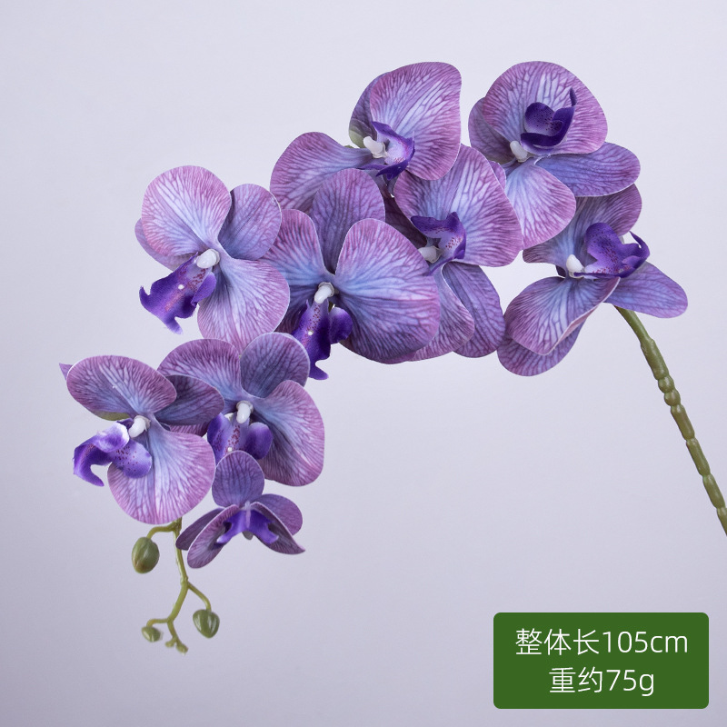 9 orquídeas de mariposa (púrpura)