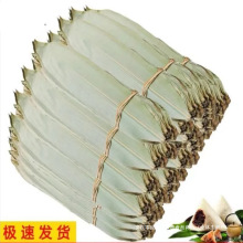 粽叶绿干粽叶广西粽叶干大号送新鲜家用野生大宽叶子粑粑qg