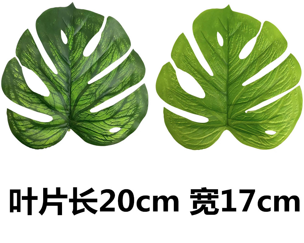 未命名_副本