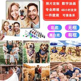 DIY数字油画照片来图钻石画自定义图片填色画厂家客厅装饰