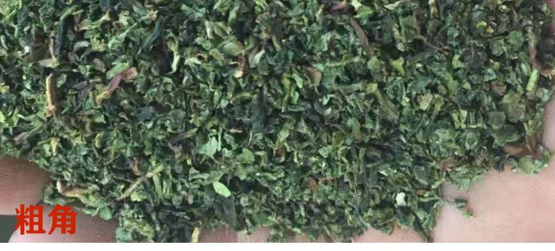 O1CN01iZLlC21oT690SoIXQ_!!9833