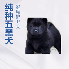 ���N���Ȯ��Ȯ���w���������CȮ��ͥ�o�lȮ��HȮ����Ȯ����С��