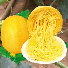 ��z�g�ϷN�ӷN�ѽz�Ϸ۽z���Ϲ������J�Ϲ��������r���߲���