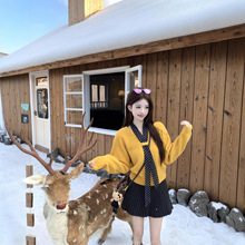 ���� 2025�ﶬ�ճ�ͨ�ڰٴ�V�I�z���I��ë��+�ٴ����ë�ض�ȹŮ