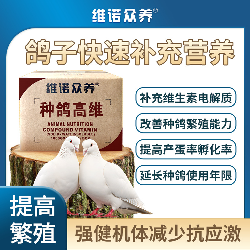 种鸽高维 鸽电解质多维水溶复合维生素提高繁殖能力孵化率产蛋率