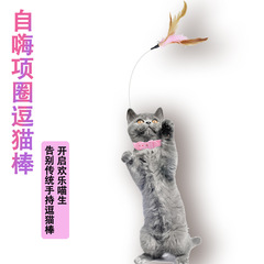 爆発的な猫のシリカゲルの首輪が猫の棒を笑わせる