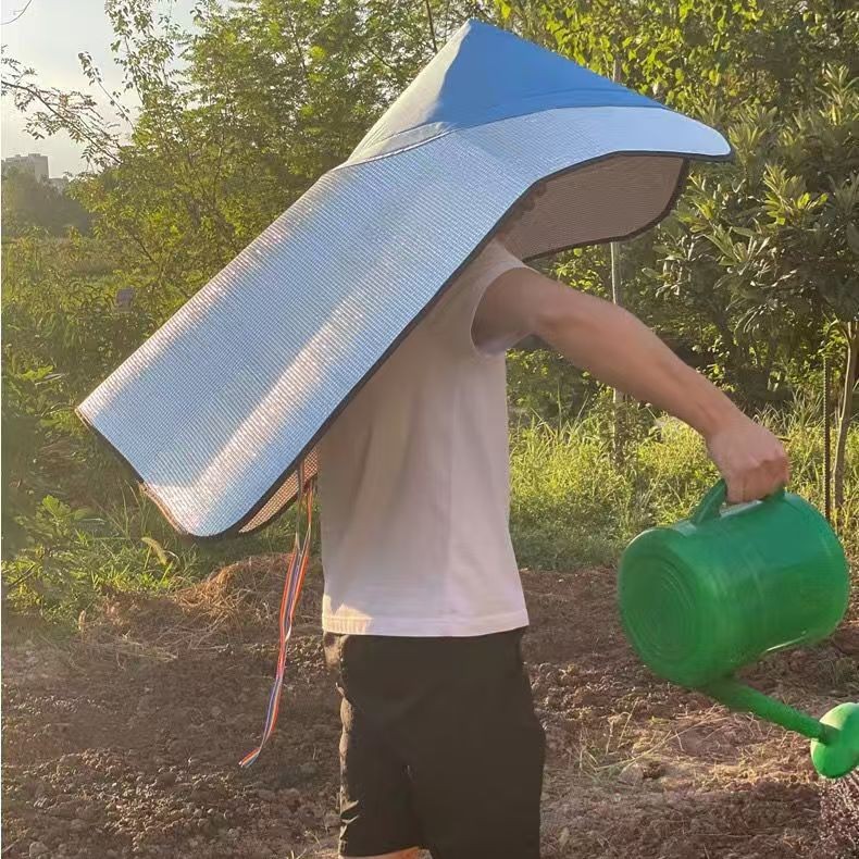 2025-03-09 12:06:12.jpg