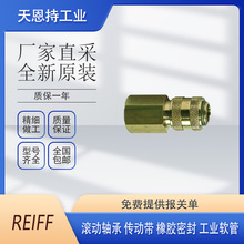 德国 REIFF 50-AT-10X1360 轴承 软管 全新原装