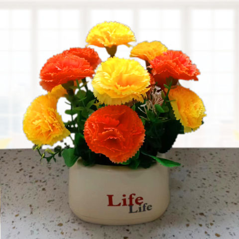 구명 분지-카네이션 오렌지