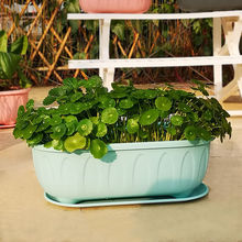 花盆熊猫盆长方形种菜长条蔬菜阳台种植箱加厚树脂托盘