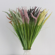 ���W����ֲ���֦�����[���Ѳ� ɭϵ��Y���÷���ٻ���֧��β��