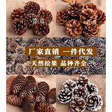 ���������������������ɼ�����~���֓u⏒���o����ѬDIY���ϰ�