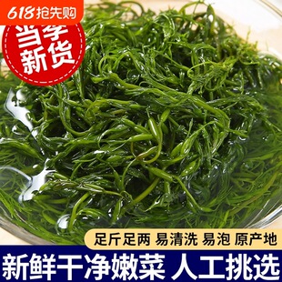 ���ڹS�L�۲˛�����}�n�Rβ����ʳ�ĺ������C���̹S���ݱ��ݹS