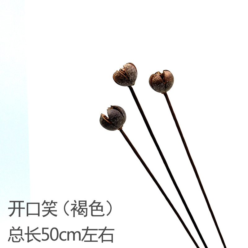 다크 브라운 브라운 스마일 3개입