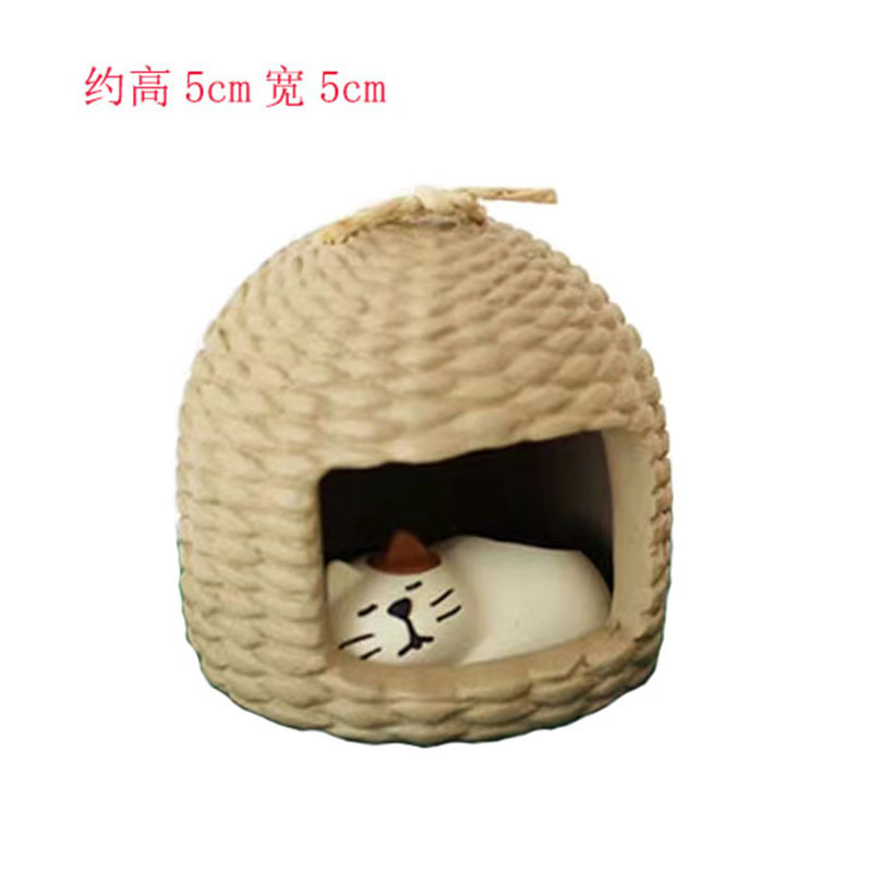 케이지 고양이