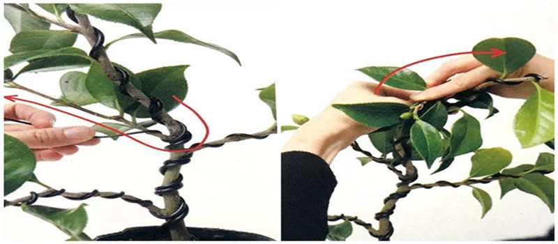 2副本_副本_副本