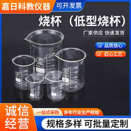 高硼硅玻璃烧杯实验室专用耐高温带刻度量杯化学实验器材烧杯批发