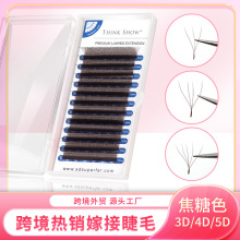 焦糖色三叶草四叶草五叶草哑光自然浓密不散根欧美风棕色眼睫毛
