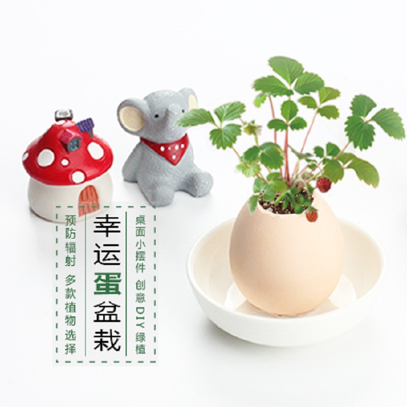 ֲdiy 澰 칫ħħմֲ