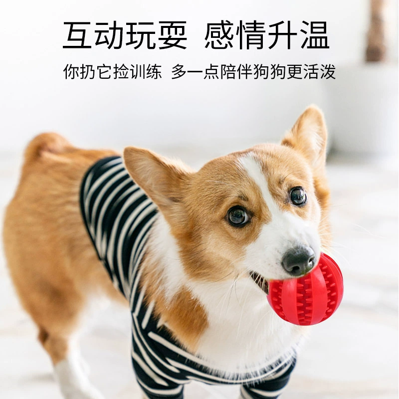 Умная игрушка, оптовая продажа, для животных