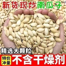 盐焗南瓜子原味南瓜籽坚果炒货吃的零食小吃年货食品零食便宜量大