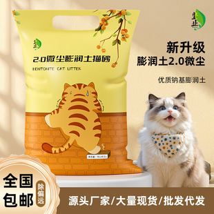 �V��؈ɰ���w��С�w������ɰ�Y�F�o������ɢ�ƌW�������؈ɰ
