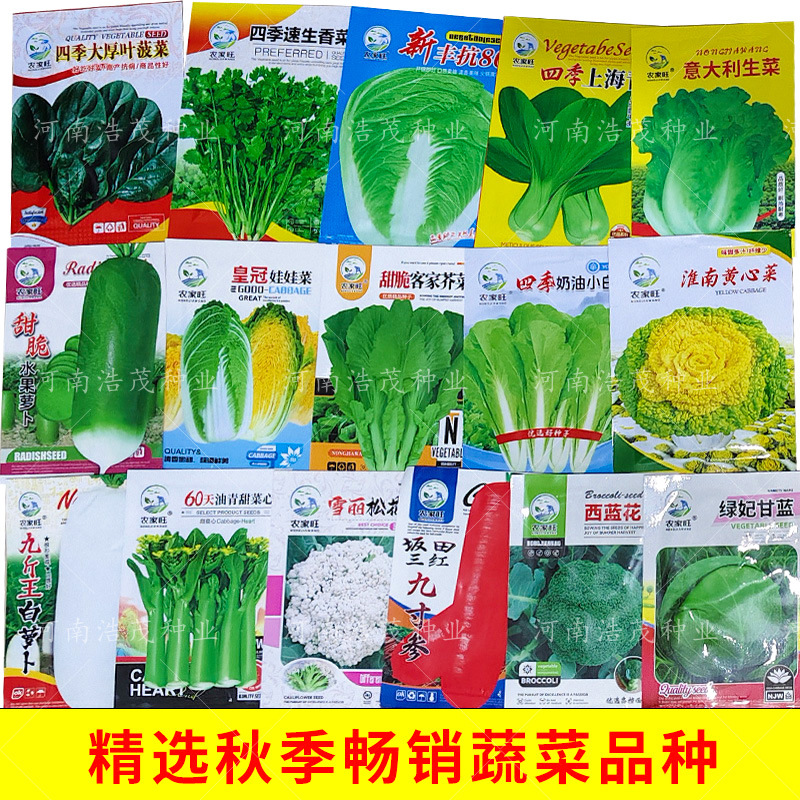 精选秋季热销蔬菜种子萝卜白菜包菜花菜甜菜心上海青菠菜香菜种子