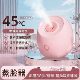 热喷蒸脸器蒸汽机家用补水神器纳米喷雾打开毛孔加湿器蒸脸仪小型