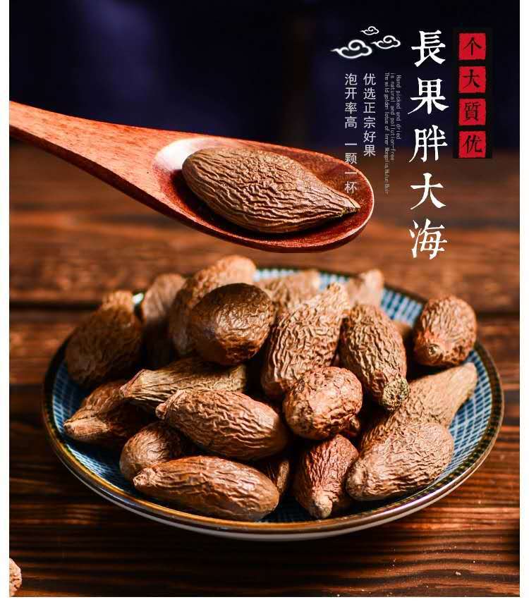 Pang Da Hai (Sterculia lychnophora) — Dried Round Fruit for Throat-Soothing Tea overview