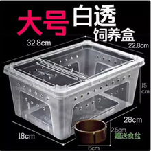 ���I������B�����x�����д���С̖�䗫��С�����֩���p�_��Խ�z