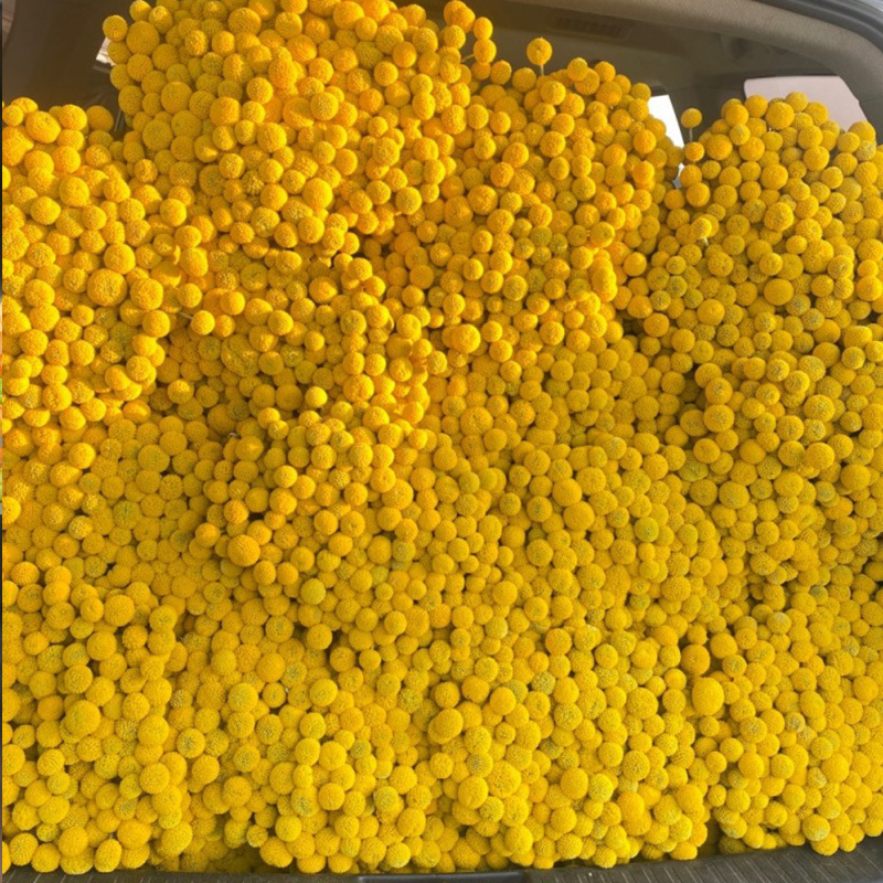 Golden Ball Dried Flower bouquet decorations Ornaments Flower arrangement Natural wind dried flowers Dragon Boat Festival bouquet material bag Golden Ball Dried Flower bouquet decorations Ornaments Flower arrangement Natural wind dried flowers Dragon Boat Festival bouquet material bag