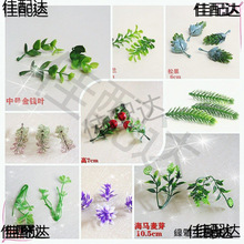 ���ֹ�DIY������ϼ��r���Y������پGֲ�~��ɳ�P�쾰