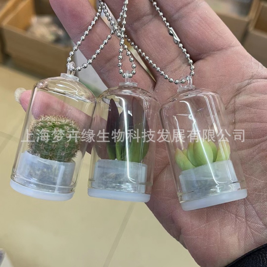 2024-10-21 10:09:17.jpg