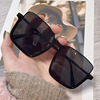 Brand sunglasses, fashionable glasses, 2022 collection, city style