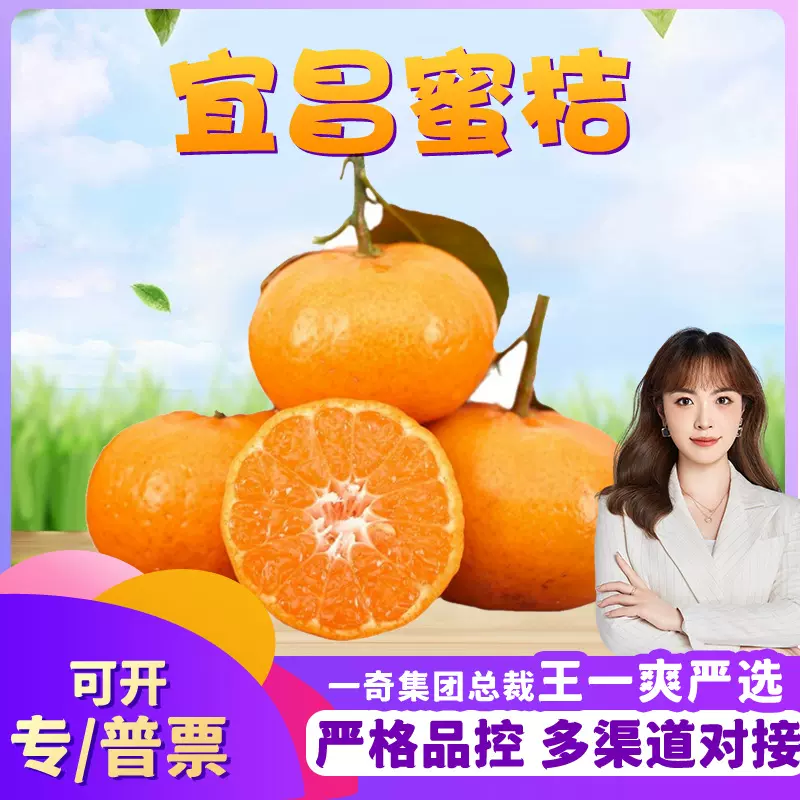 【严选】湖北宜昌蜜桔 代发3斤酸甜无籽甜桔子早熟黄柑橘应季水果