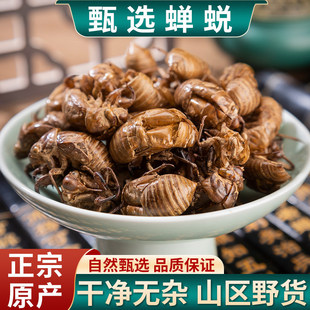 ���uҰ���s͑100g���s����؛���s��֪��Ƥ֪�˚��x���s�˚����]