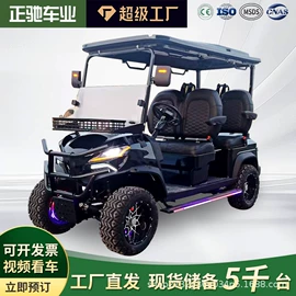 电动观光车;高尔夫球车;其他电动车