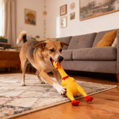 悲鳴をあげます。犬のおもちゃは自分でいいです。歯ぎしりに耐えます。