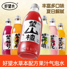 好望水 望梅好望杏福望有米正品浓缩果汁气泡水饮料300ml汽水订婚
