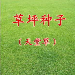 ���òݷN�� �Ͱ��Ͳ�ƺ�� ���`̤��С�^���@ͥԺ�G�����Ѳ�ƺ�N��