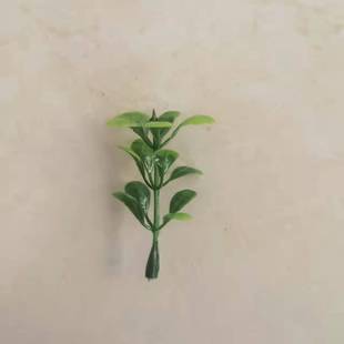 ����ˮ��7�渻�F����� �����Ʒ��ĭˮ���������������С�����l