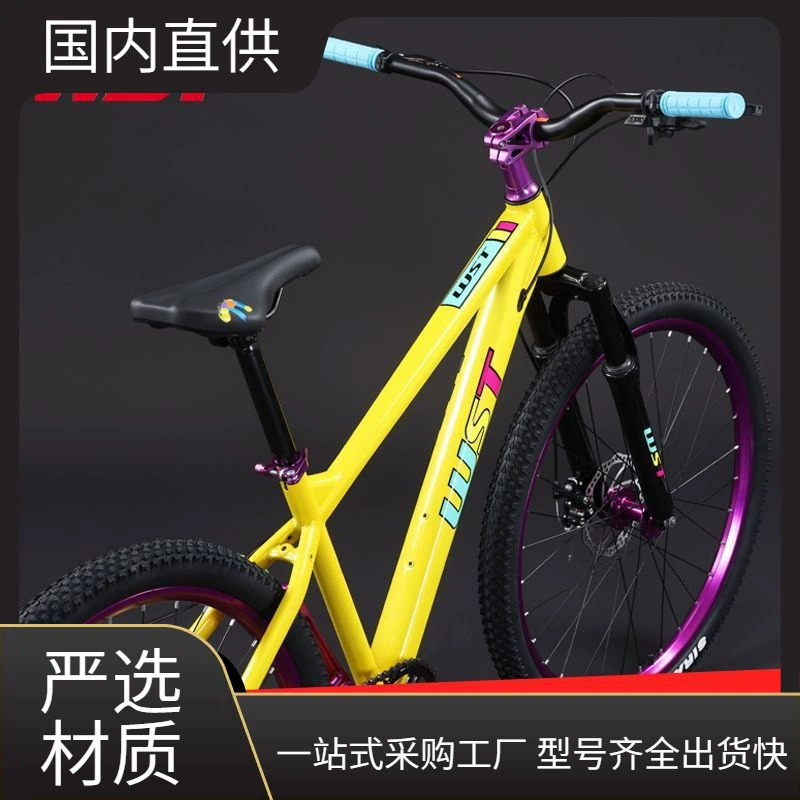 Профессиональный MTB с дисковым тормозом, внедорожный гоночный автомобиль для взрослых мужчин и женщин пожилых