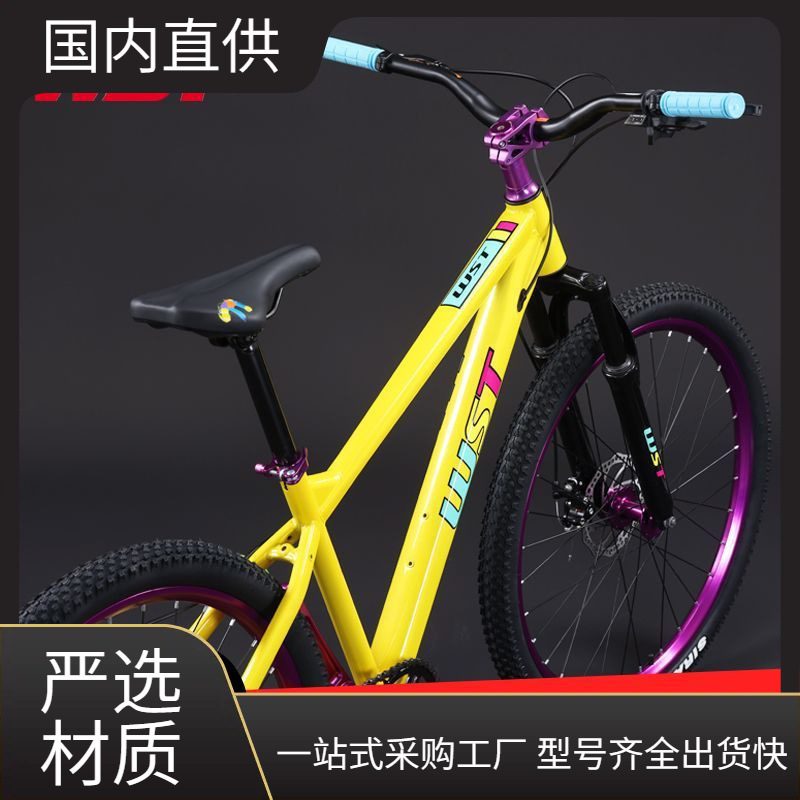 Mountain Bikes Can Be Used for Professional Stunts, with Dual Disc Brakes and Variable Speed Gears, Suitable for Adult Men and Women as a Means of Transportation or for Off-Road Racing