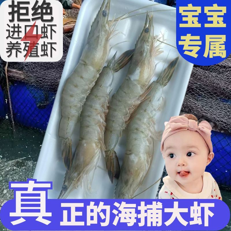 海捕中华对虾黄虾鲜活冷冻大虾新鲜大号竹节虾花虎虾黑虎虾斑节虾