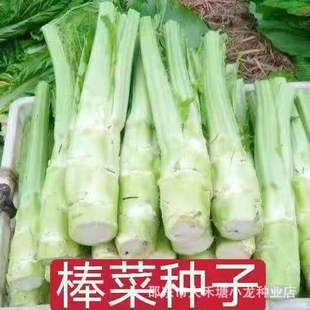 ���˷N�ӱ�Ƥ���˴���˰�Ƥ��˷N�Ĵ����~���^������ɫ�ﲥ�߲�