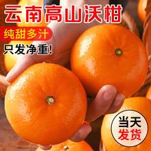 ��ϸ�ɽ�ָ�10�����rˮ������������Fժ�����۽۸���ɰ������