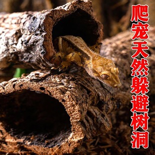 ��ܘ䶴������ܛľ��Ѩ�޽Ǿ����،m�ת{�����������쾰�㉾����