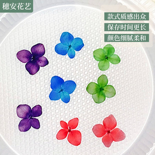 Dyeing Hydrangea Flower Dried Flower Embossed Plant Specimen Photo Frame Bookmark Face Decal Handmade Decal for Children