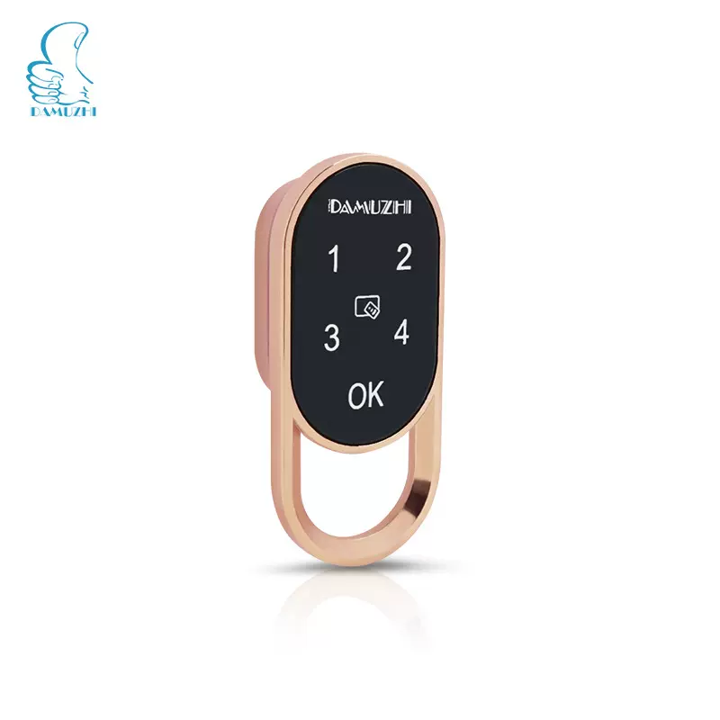 电子家具办公柜锁智能刷卡储物柜锁批发供应密码抽屉锁柜子锁