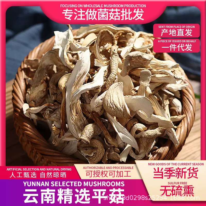 大货批发平菇干货餐饮生鲜撕条晒干白龙条北风菌人工菌平菇批发